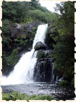 cascade Jacqueline