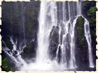 cascade Langevin