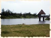 Etang du Gol