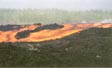 eruption