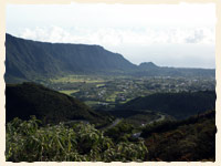 Plaine des Palmistes