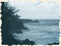 Le Sud sauvage