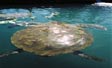 tortue